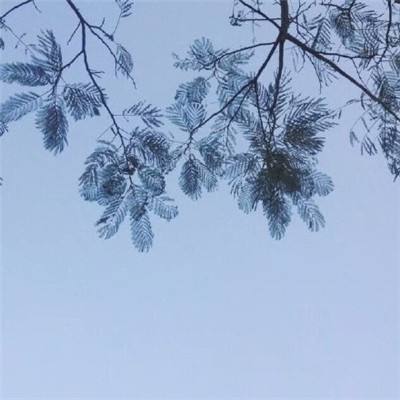 中国建设银行与伦敦金融城共同举办中英资本市场互联互通圆桌会